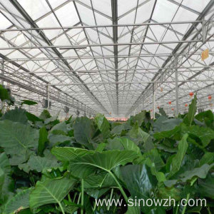 Portable agriculture steel structure greenhouse